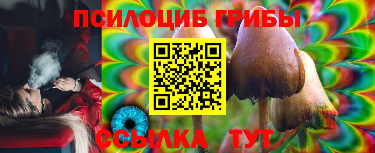 Псилоцибиновые грибы мицелий  Вход с VPN  Псилоцибиновые грибы мухоморы  закладка  Малоярославец 